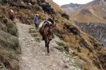 Image: MLP trek: Day 3 - The Inca Trails